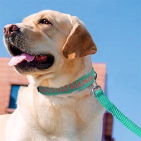 img 3 attached to Teal Embroidered Personalized Dog Collar With Name And Phone Number For Large Dogs - Joytale Reflective Custom Collar