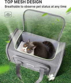 img 2 attached to LIOOPET Airline Approved Cat Carrier: 20 Inch, Grey - Soft Sided Cat Travel Carrier for Large Cats, Portable Small Pet Carrier for Puppy Small Dogs