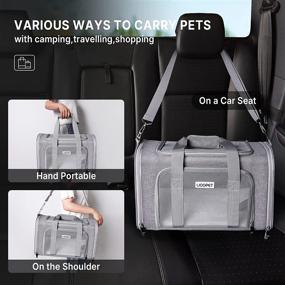 img 1 attached to LIOOPET Airline Approved Cat Carrier: 20 Inch, Grey - Soft Sided Cat Travel Carrier for Large Cats, Portable Small Pet Carrier for Puppy Small Dogs