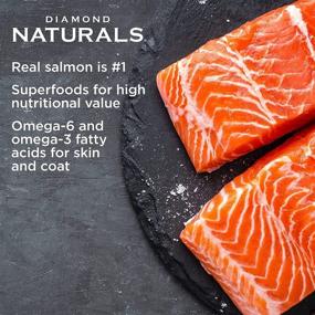 img 2 attached to 🐶 Diamond Naturals Skin & Coat Real Salmon and Potato Recipe Dry Dog Food: A Nutrient-Rich Formula for a Lustrous and Healthy Dog Coat