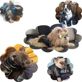 img 1 attached to 🐶✨ NIULA Cuteboom Dog Winter Coat: Stylish Pu Leather Motorcycle Jacket for Dogs, Waterproof Pet Clothes