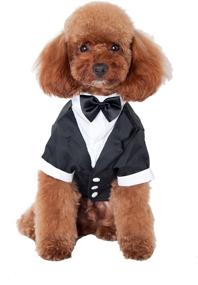 img 4 attached to 🐾 GabeFish Pets Black Wedding Jackets Suit for Dogs with Bow Tie - Cat Puppy Formal Clothes Shirt Tuxedo