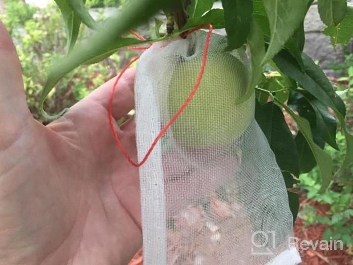 img 1 attached to 100 Pack 4X6 Inch Nylon Fruit Protection Bags With Drawstring For Garden Plants - EnPoint Reusable Mesh Netting Bags For Protecting Seed, Flower, Vegetable And Fruit review by Holly Smith