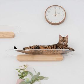 img 2 attached to MYZOO OBLONG, Clear Acrylic Floating Cat Shelf 35.4In – Ideal Cat Perch, Walkway & Bed For Optimal Relaxation