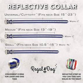 img 3 attached to Regal Dog Products Reflective Dog Collar – Heavy Duty Adjustable Collar with Metal Buckle and Rings, Anti-Odor, Chew Resistant, Waterproof - Suitable for Small, Medium, and Large Dogs