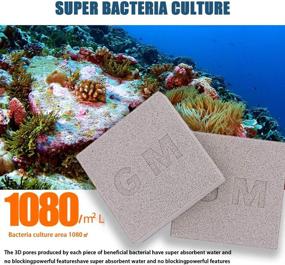 img 3 attached to 2 Pcs DOHO Aquarium Filter Media - Bio Ceramic Brick and Bio Balls for Optimal Fish Tank Filtration