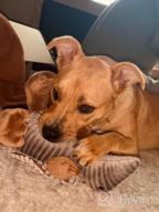 картинка 1 прикреплена к отзыву Squeaky Armadillo Pet Plush Dog Chew Toy - Hollypet Dark Gray от Robert Olguin