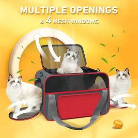 img 1 attached to 🐱 Airline Approved Cat Carrier - Soft-Sided, Durable Small Dog Carrier, Foldable Cat Bag with Fleece Pad - Ideal for Medium Cats, Puppies, and Small Animals - Red Color, 17.5inchL x 11.8inchW x 10.6inchH (GD118AR)