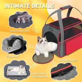 img 2 attached to 🐱 Airline Approved Cat Carrier - Soft-Sided, Durable Small Dog Carrier, Foldable Cat Bag with Fleece Pad - Ideal for Medium Cats, Puppies, and Small Animals - Red Color, 17.5inchL x 11.8inchW x 10.6inchH (GD118AR)