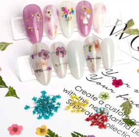 img 1 attached to ISuperb Natural Dried Flowers Nail Art Stickers In 6 Colors - 3D Mixed Media For Tips Manicure Decor - Real Dry Flower Accessory Available In Color A