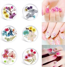 img 4 attached to ISuperb Natural Dried Flowers Nail Art Stickers In 6 Colors - 3D Mixed Media For Tips Manicure Decor - Real Dry Flower Accessory Available In Color A