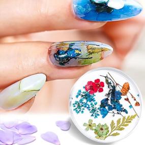 img 2 attached to ISuperb Natural Dried Flowers Nail Art Stickers In 6 Colors - 3D Mixed Media For Tips Manicure Decor - Real Dry Flower Accessory Available In Color A
