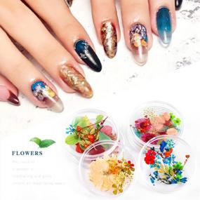 img 3 attached to ISuperb Natural Dried Flowers Nail Art Stickers In 6 Colors - 3D Mixed Media For Tips Manicure Decor - Real Dry Flower Accessory Available In Color A