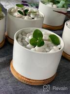 img 1 attached to Add A Touch Of Elegance To Your Garden With ZOUTOG Succulent Plant Pots - Set Of 4 Water Pattern Ceramic Pots With Bamboo Tray! review by Treyshaun Clena