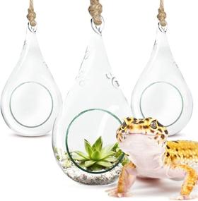 img 3 attached to 🦎 SunGrow Gecko Teardrop Hanging Terrariums, Mini Hanging Orbs, 3 Pack, 5.5 x 3 Inches, Boron Silicon Glass