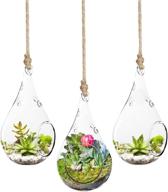 🦎 sungrow gecko teardrop hanging terrariums, mini hanging orbs, 3 pack, 5.5 x 3 inches, boron silicon glass logo