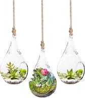 🦎 sungrow gecko teardrop hanging terrariums, mini hanging orbs, 3 pack, 5.5 x 3 inches, boron silicon glass логотип