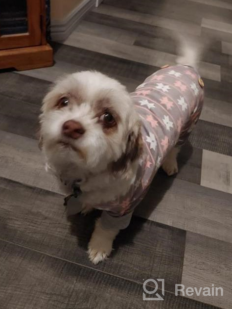 img 1 attached to 🐾 KYEESE Polka Dot Dog Pajamas: Soft & Stretchable Material | Onesie Style Velvet PJs for Small and Medium Dogs review by Matthew Flores