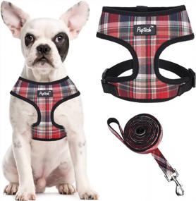 img 4 attached to PUPTECK Soft Mesh Dog Harness: Comfort Padded Vest For No Pull Pet Puppy & Cat Walking