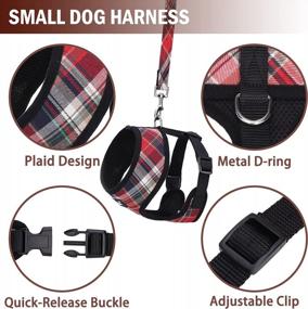 img 2 attached to PUPTECK Soft Mesh Dog Harness: Comfort Padded Vest For No Pull Pet Puppy & Cat Walking