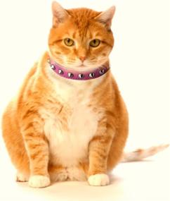 img 2 attached to 🐱 Stylish and Safe Pink Studded Leather Cat Collar by Kitty Planet Outlaw