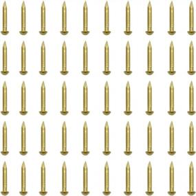 img 2 attached to RZDEAL Pack Of 100 Round Head Brass Nails - 0.08'' X 0.6'' Size For Hinges, Boxes, And DIY Craft Projects