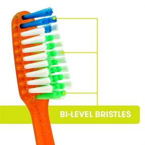 img 1 attached to Reach Crystal Clean Toothbrush Bristles Oral Care