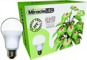 img 3 attached to Miracle LED 9W Spectrum Grow Lite Daylight White Full Spectrum Indoor Plant Growing Light Bulb DIY Horticulture Hydroponics Gardens 604293 Single Pack