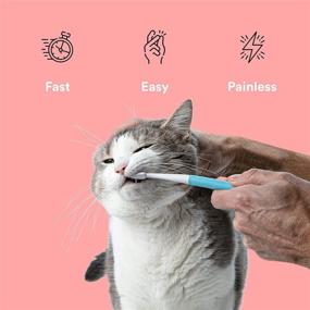 img 1 attached to 🐱 Keep Your Feline Friend's Teeth Clean and Breath Fresh with Jasper Cat Toothbrush – A Must-Have Pet Dental Care Tool!