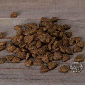 img 2 attached to Nulo Freestyle Premium Grain-Free Dog Food With BC30 Probiotic And High Animal Protein For Small Breeds