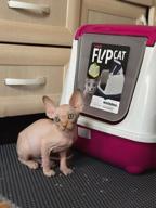 img 1 attached to 🐱 Modern Flip Grey Cat Litter Box with Warming Features review by Velizar Rusev ᠌