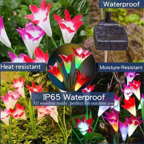 img 1 attached to 2 Pack Multi-Color Changing Lily Solar Flower Lights For Patio, Yard Decoration - TONULAX Outdoor Upgraded Solar Garden Lights With Bigger Flowers And Wider Panels (Purple & Red)