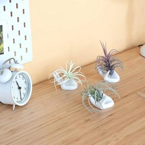 img 4 attached to White Ceramic Mini Hand-Shaped Air Plant Holder Stand For Tillandsia Container Pots Home Decor - 3 Pack