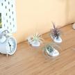 white ceramic mini hand-shaped air plant holder stand for tillandsia container pots home decor - 3 pack logo