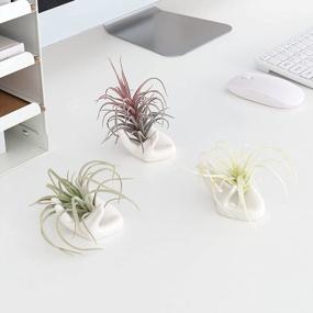 img 3 attached to White Ceramic Mini Hand-Shaped Air Plant Holder Stand For Tillandsia Container Pots Home Decor - 3 Pack