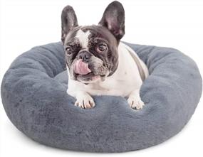 img 4 attached to Puppy Bed For Small Dogs Washable Snuggle Dog Bed With Blanket Anti Anxiety Pet Bed For Cats Kittens Anti-Slip & Water-Resistant Bottom