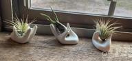 img 1 attached to Dahey Air Plant Holder Cute Ceramic Mini Hand Shape Stand Airplants Tillandsia Small Container Pot Plant Decorative Home Decor For Desk Table Shelf,White,1 Pack review by Jillian Sparks