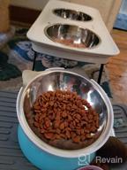 img 1 attached to Stainless Steel Elevated Cat Bowl – Tilted Cat And Small Dog Food Bowls To Improve Digestion And Reduce Neck Strain – Easy-To-Clean Cat Feeder With Sturdy, Nonslip Base By AmazinglyCat review by Christopher Morgan