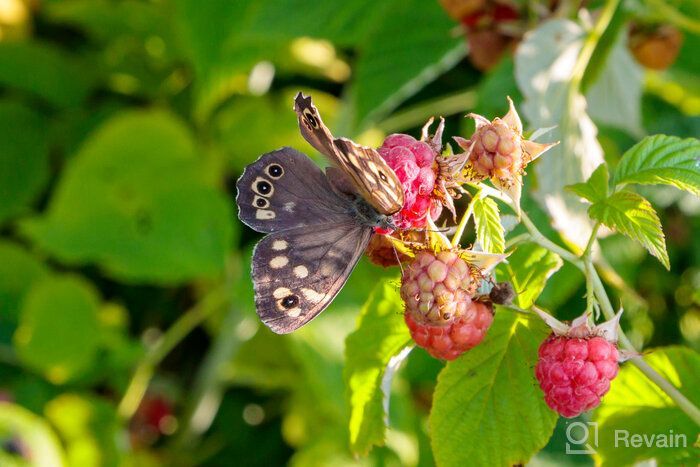 img 1 attached to Irix 15Mm Firefly Lens Canon review by Bhavin Kokani ᠌