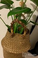 img 1 attached to Small Seagrass Belly Basket By BlueMake - Perfect For Storage, Plant Pot, Laundry, Picnic & Grocery! review by Everald Mendez