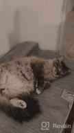 картинка 1 прикреплена к отзыву Обеспечьте своей собаке прохладу этим летом с охлаждающим ковриком LUXEAR Arc-Chill Pet Cooling Mat Q-Max 0,34, ультраабсорбирующим, моющимся и многоразовым! от Paul Weakland