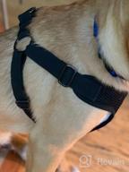 img 1 attached to Gooby Comfort X Step In Harness V2 - Large, Turquoise(Pink) - No Pull Small Dog Harness Patented Adjusting Choke-Free X Frame - Perfect On The Go Dog Harness For Medium Dogs No Pull And Small Dogs review by Anthony Mayes