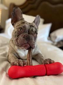 img 5 attached to Держатель Bully Stick для собак от GoSports Chew Champ - надежно защищает палочки Bully, чтобы предотвратить удушье - размер 6 дюймов