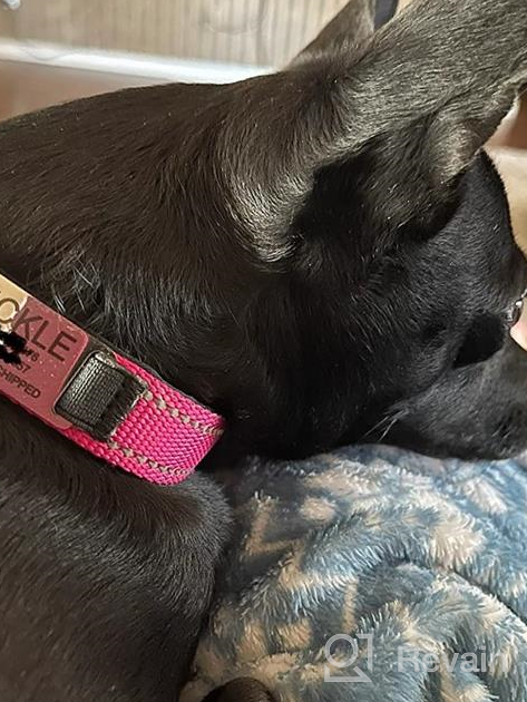 img 1 attached to Personalized Red Nylon Dog Collar With Engraved Name Plate - Perfect For Large Dogs | Joytale review by Antonio Baker