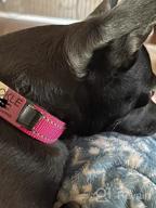картинка 1 прикреплена к отзыву Personalized Red Nylon Dog Collar With Engraved Name Plate - Perfect For Large Dogs | Joytale от Antonio Baker