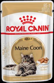 img 3 attached to Wet food sauce for adult cats Royal Canin Maine Coon Adult for Maine Coon cats aged 1 to 12 years, 24 x 0.085kg