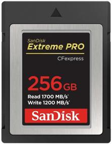 img 1 attached to SanDisk CFexpress Type B 256 GB Class 10, R/W 1700/1200 MB/s