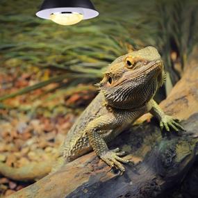 img 3 attached to 🦎 Lyderpet 100W UVB UVA Reptile Light: Ultimate Basking Bulb for Bearded Dragons - Heat, UVB and UVA for Optimal Reptile Health