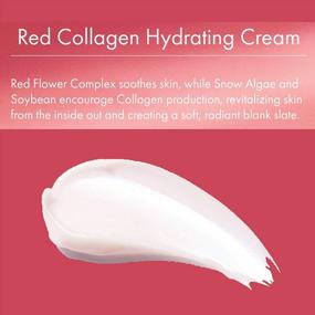 img 3 attached to Hydrating Cream For Face And Neck With Niacinamide And Collagen | LAPCOS Red Anti-Aging Moisturizer (1.69 Fl Oz) | Plump, Nourish, And Treat Fine Lines And Wrinkles