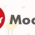 mocoosy logo